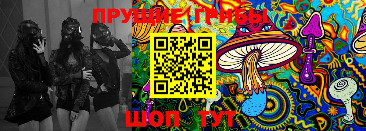 как найти наркотики  Вход с VPN  Чебаркуль  Галлюциногенные грибы Cubensis 