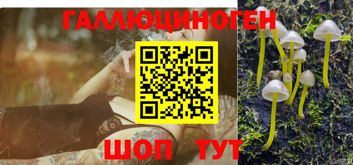 Галлюциногенные грибы MAGIC MUSHROOMS Чебаркуль
